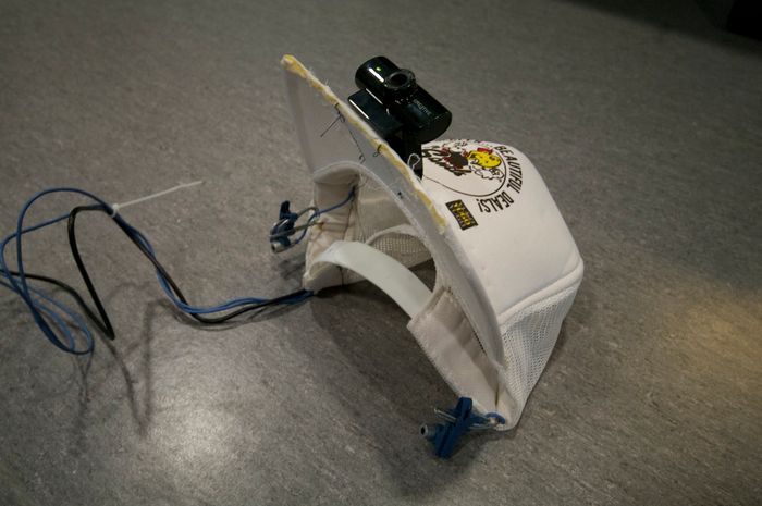 Pictures of the exhibition